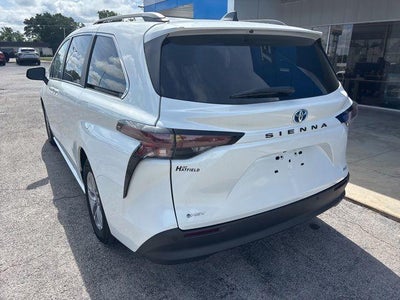 2025 Toyota Sienna XLE